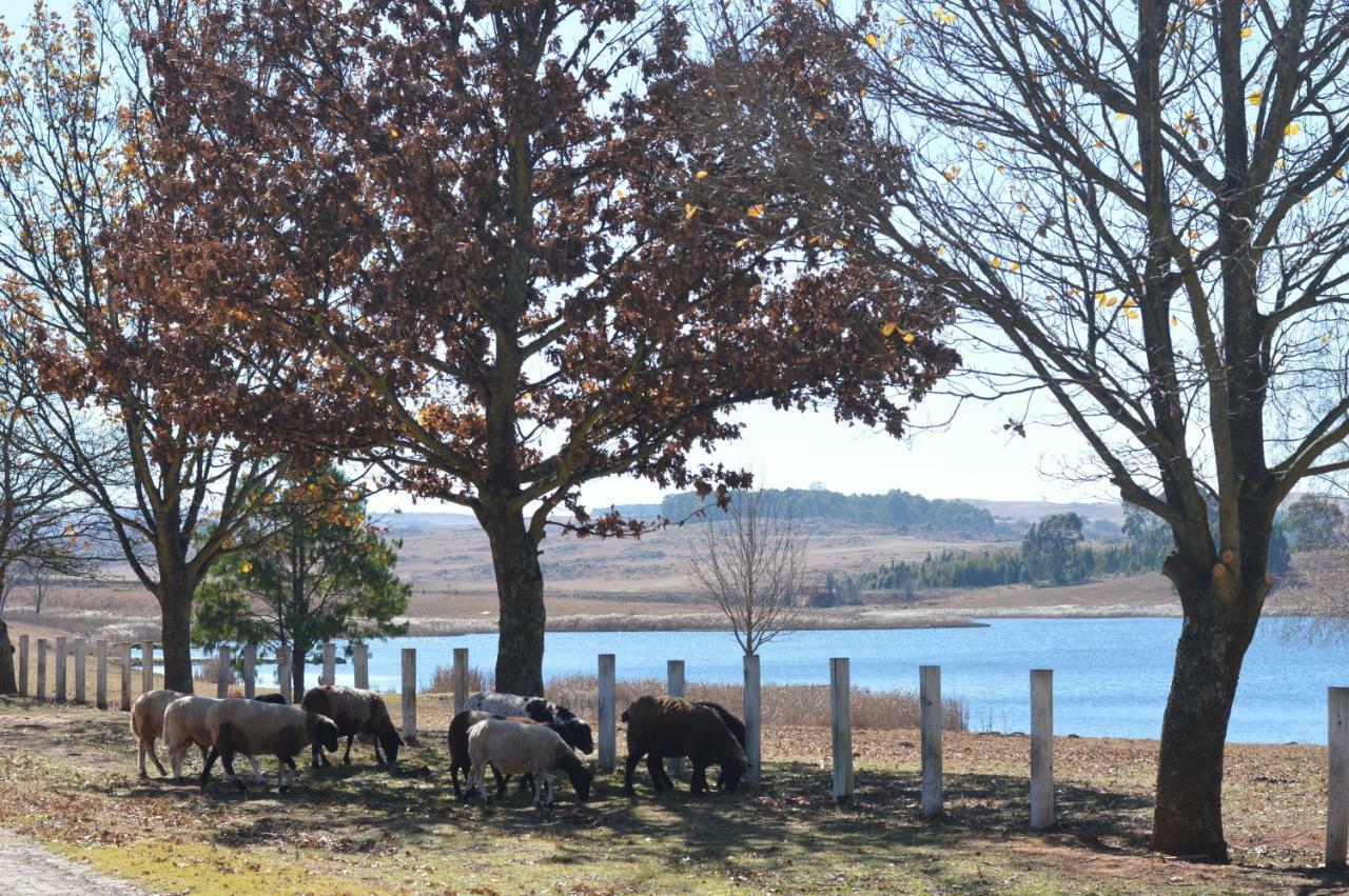 Dullstroom On The Dam エクステリア 写真